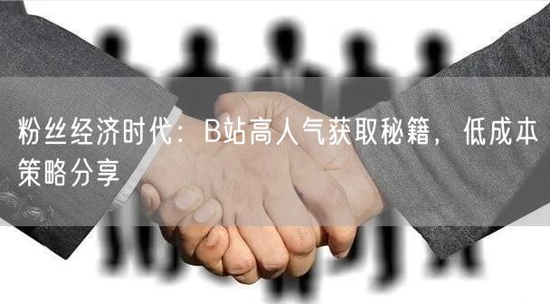 粉丝经济时代：B站高人气获取秘籍，低成本策略分享