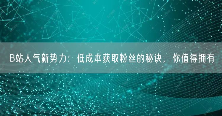 B站人气新势力：低成本获取粉丝的秘诀，你值得拥有