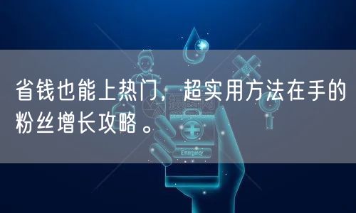省钱也能上热门，超实用方法在手的粉丝增长攻略。