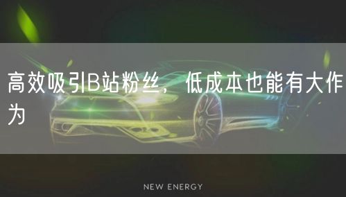 高效吸引B站粉丝，低成本也能有大作为