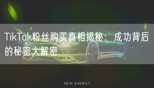 TikTok粉丝购买真相揭秘：成功背后的秘密大解密