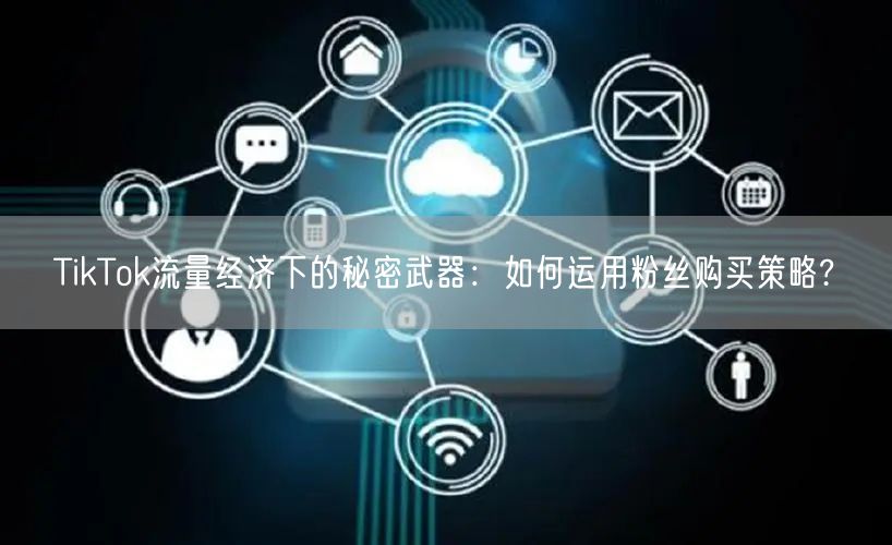 TikTok流量经济下的秘密武器：如何运用粉丝购买策略?