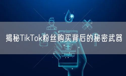 揭秘TikTok粉丝购买背后的秘密武器