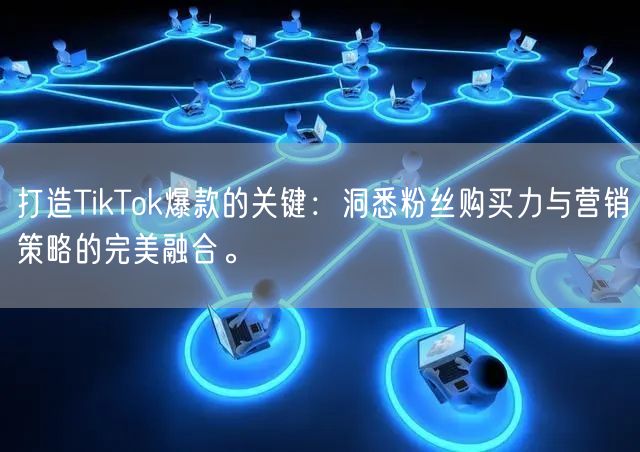 打造TikTok爆款的关键：洞悉粉丝购买力与营销策略的完美融合。