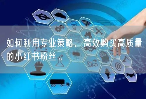 如何利用专业策略，高效购买高质量的小红书粉丝。