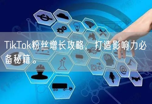 TikTok粉丝增长攻略，打造影响力必备秘籍。