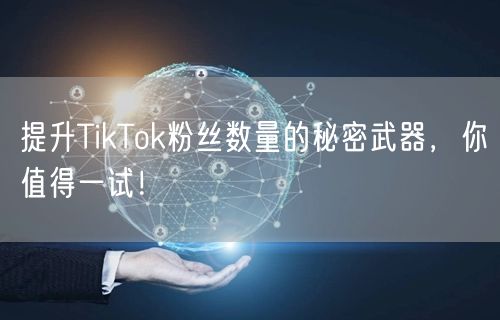 提升TikTok粉丝数量的秘密武器，你值得一试！