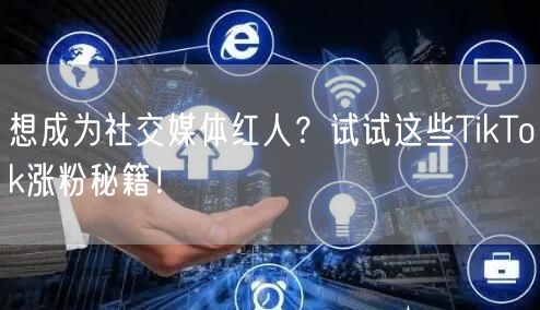 想成为社交媒体红人？试试这些TikTok涨粉秘籍！