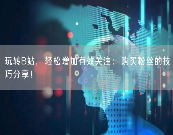 玩转B站，轻松增加有效关注：购买粉丝的技巧分享！