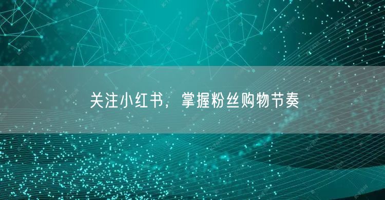 关注小红书，掌握粉丝购物节奏