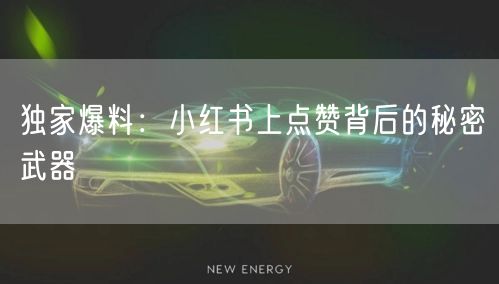 独家爆料:小红书上点赞背后的秘密武器