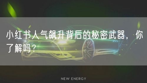 小红书人气飙升背后的秘密武器，你了解吗？