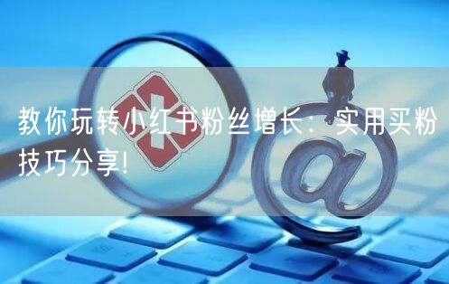 教你玩转小红书粉丝增长：实用买粉技巧分享!