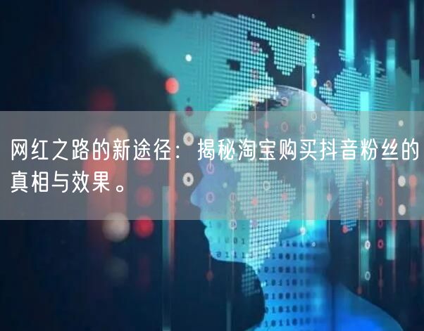 网红之路的新途径：揭秘淘宝购买抖音粉丝的真相与效果。