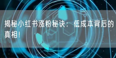揭秘小红书涨粉秘诀：低成本背后的真相！