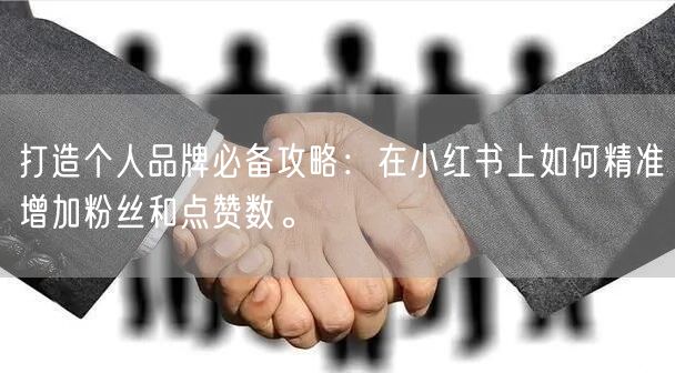 打造个人品牌必备攻略:在小红书上如何精准增加粉丝和点赞数。