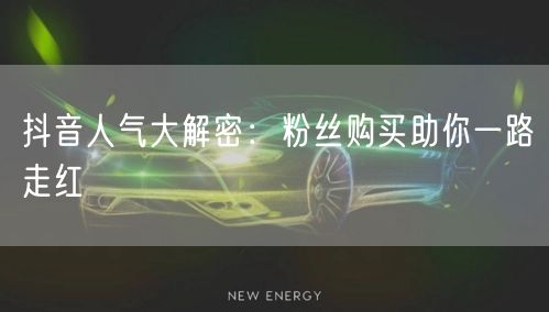 抖音人气大解密：粉丝购买助你一路走红