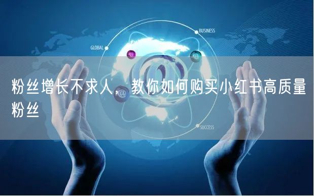 粉丝增长不求人，教你如何购买小红书高质量粉丝