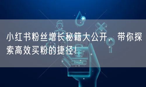 小红书粉丝增长秘籍大公开，带你探索高效买粉的捷径！